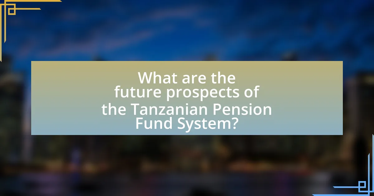 What are the future prospects of the Tanzanian Pension Fund System?